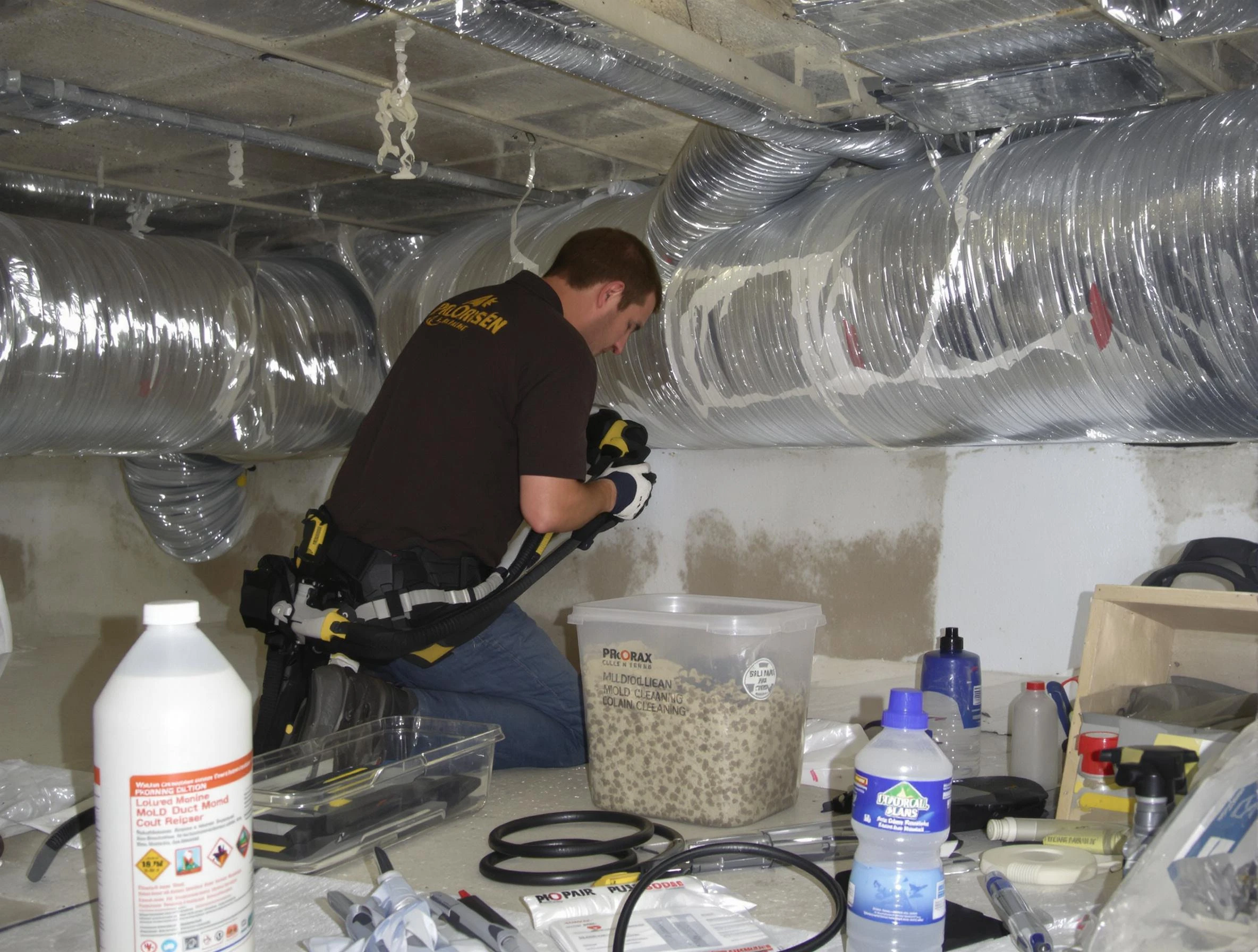 Roy Air Duct Cleaning specialist performing professional mold removal from air ducts in Roy